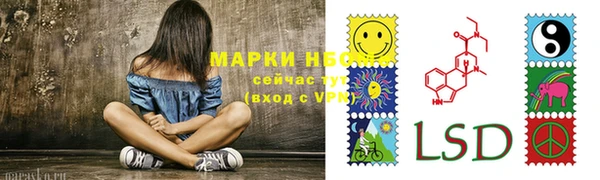 прущие грибы Алексин