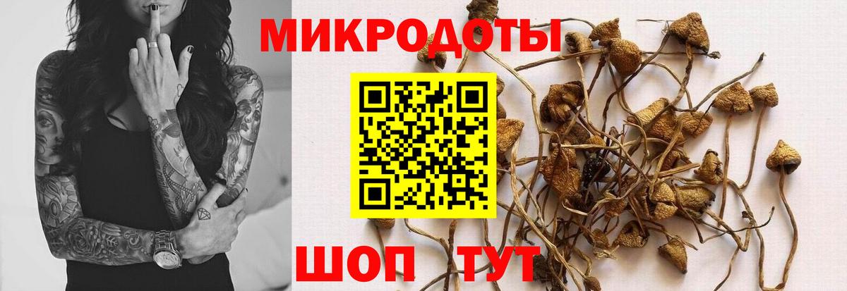 Галлюциногенные грибы GOLDEN TEACHER Серов