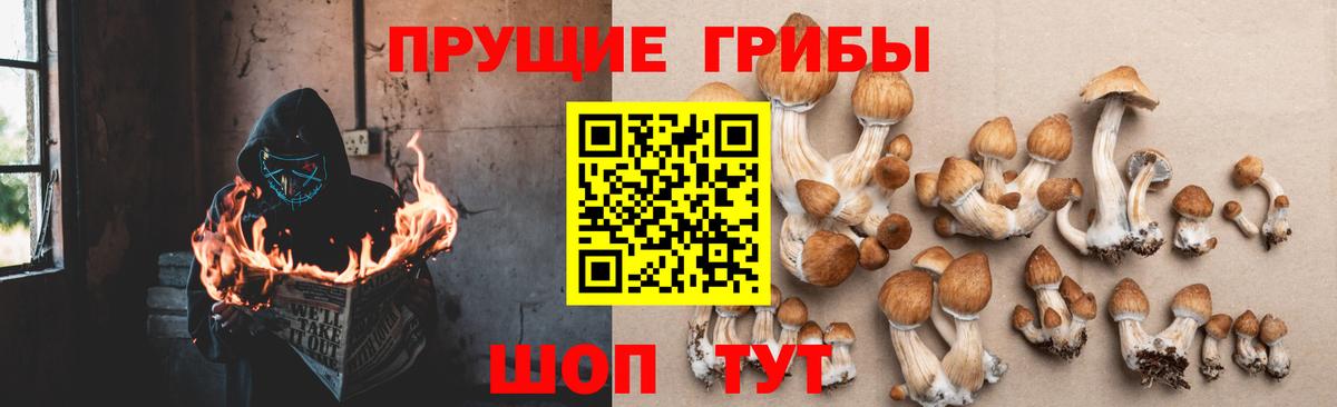 Псилоцибиновые грибы GOLDEN TEACHER  Вход с VPN  Серов 